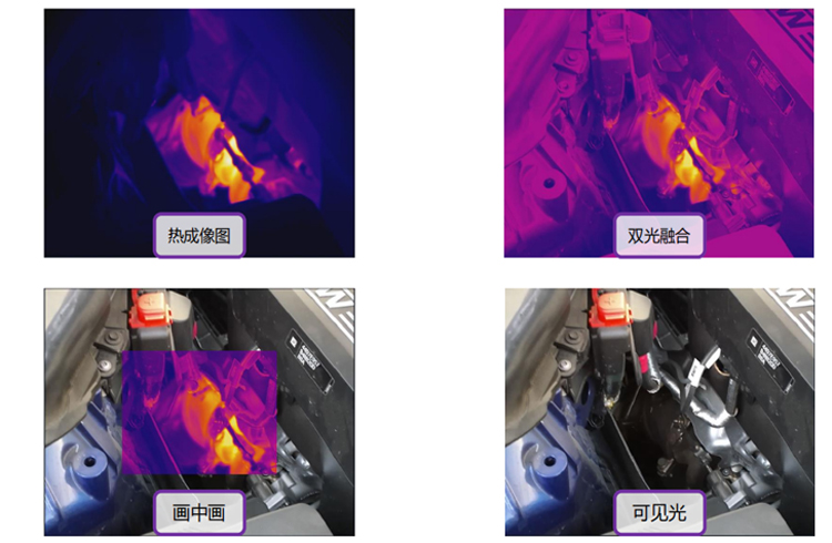 防爆紅外熱像儀TP5A